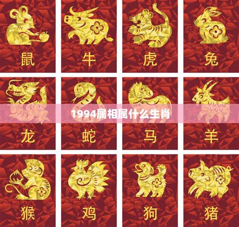 94年属|1994 年出生属什么生肖